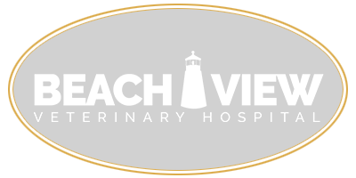 Beachview Veterinary Hospital