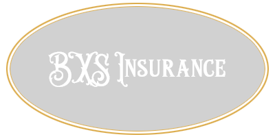 BXS Insurance